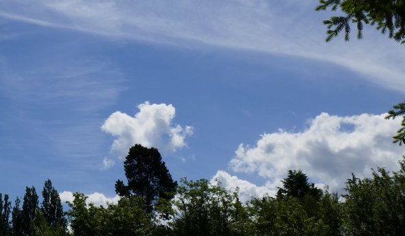 Reviews articles about Fircrest, Washington - image