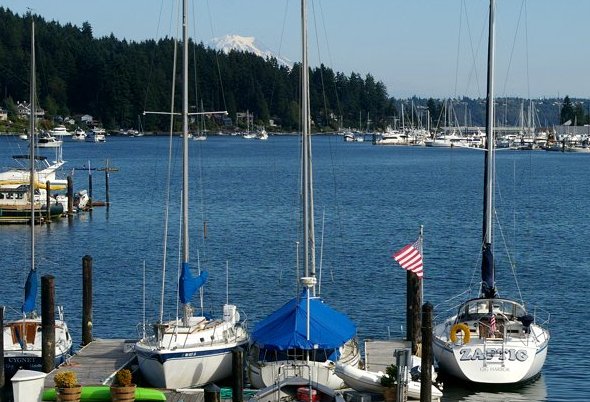 Reviews articles about Giv Harbor, Washington - image