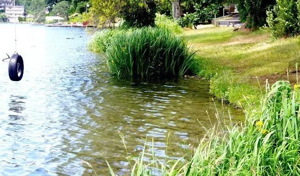 Reviews articles about Lakewood, Washington - image