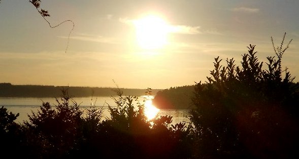 Reviews articles about University Place, Washington - image